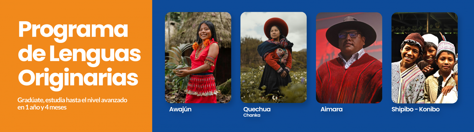 Idiomas indigenas
